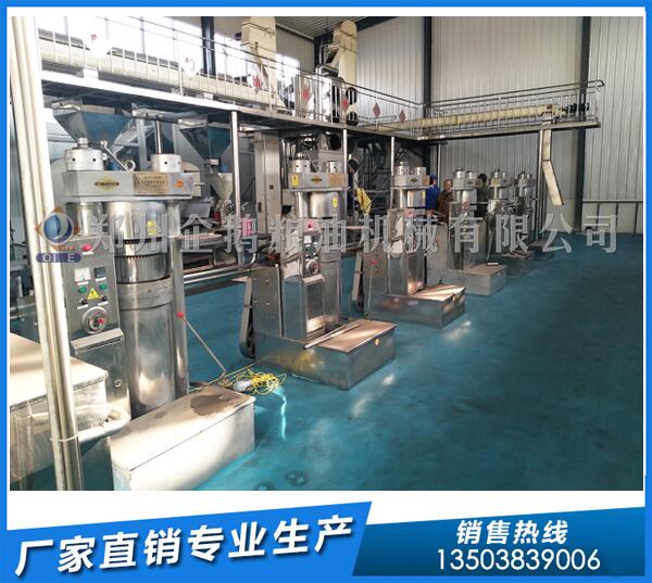1-10噸核桃榨油生產(chǎn)線,選企鵝油脂設(shè)備錢景好(圖1) 油脂機(jī)械設(shè)備